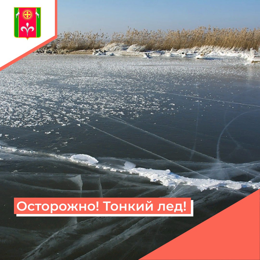 IMG_20250303_113404_742