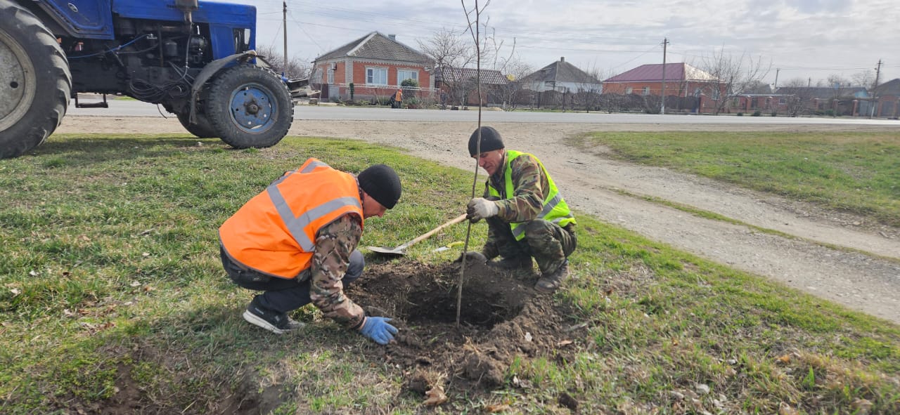 WhatsApp Image 2025-03-14 at 10.40.59