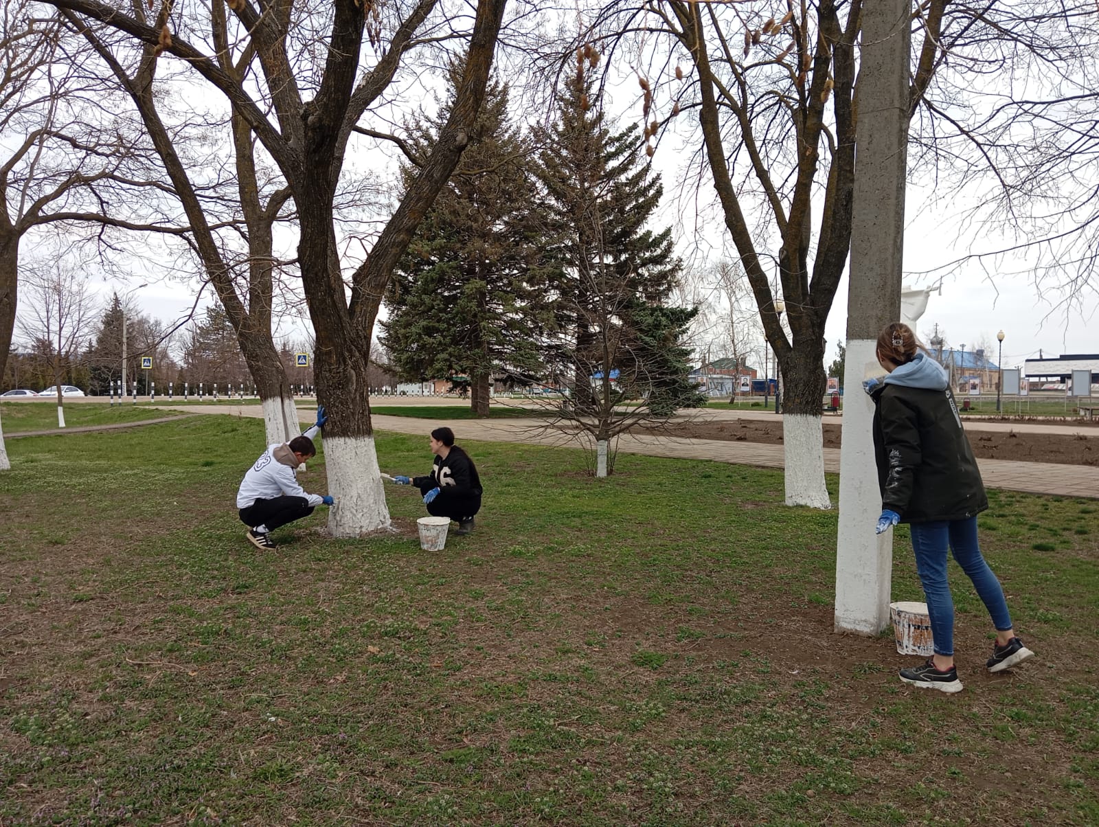 Изображение WhatsApp 2025-03-28 в 10.36.32_430c6215