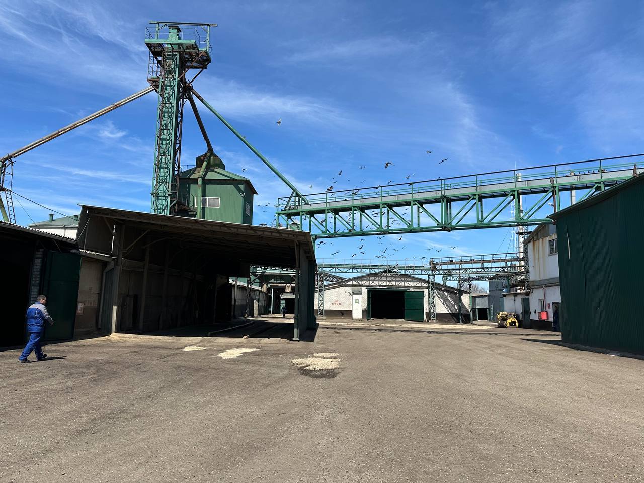 5472368289289204065-_1_