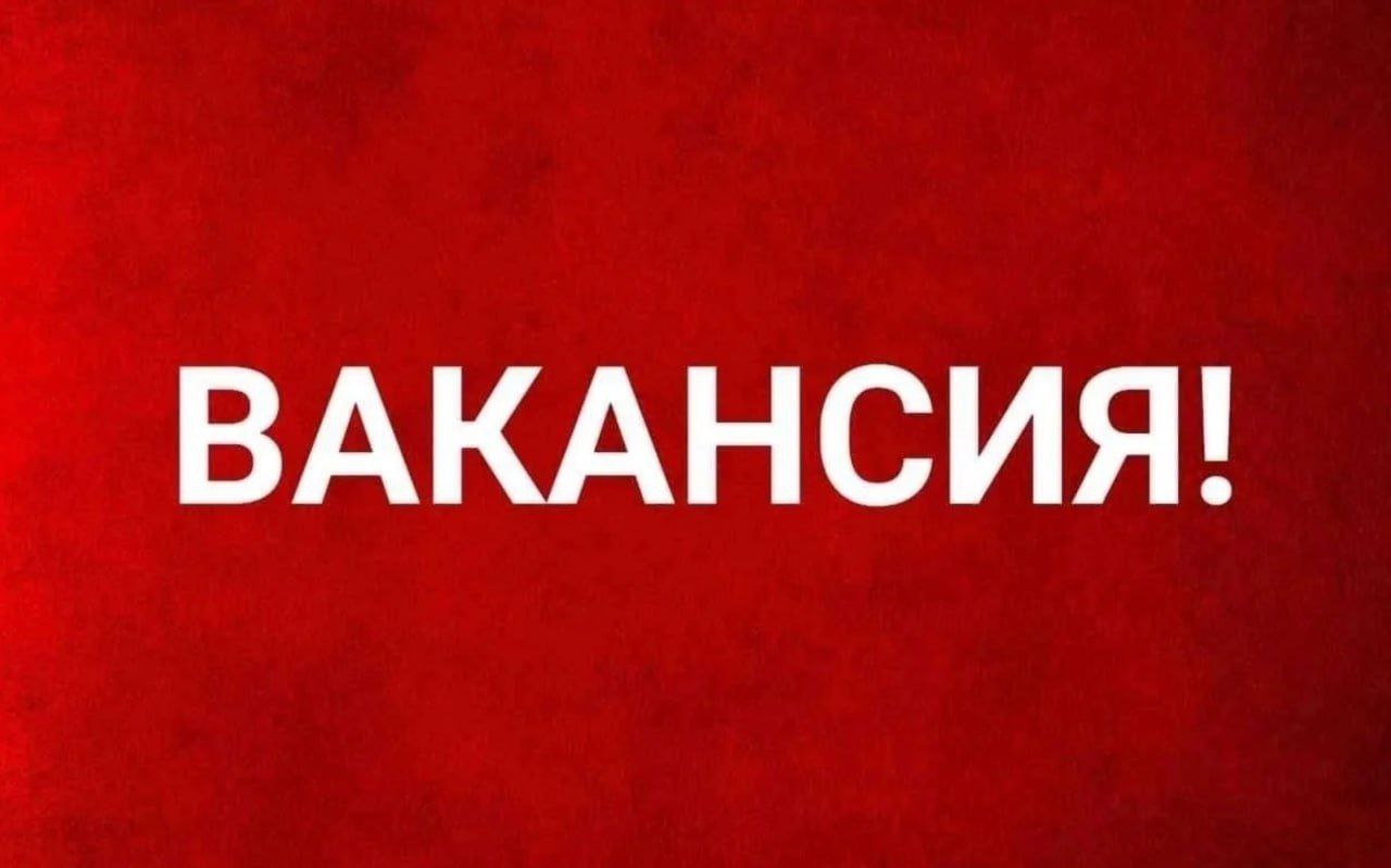 photo_2025-04-15_14-41-40