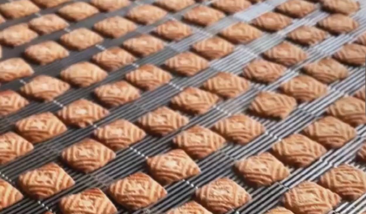 photo_2025_04_28_14_51_30