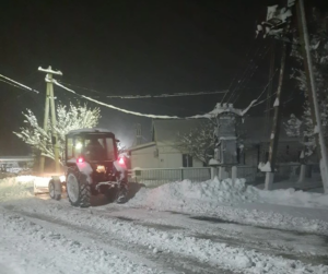 07d7819f-9fe7-42e0-8c57-16e6b709a219