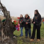 8dfe76bd-2a2d-40ea-a98d-766570b12456