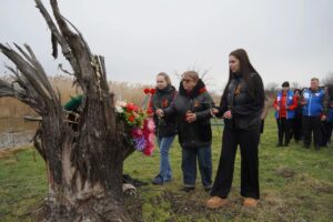 8dfe76bd-2a2d-40ea-a98d-766570b12456