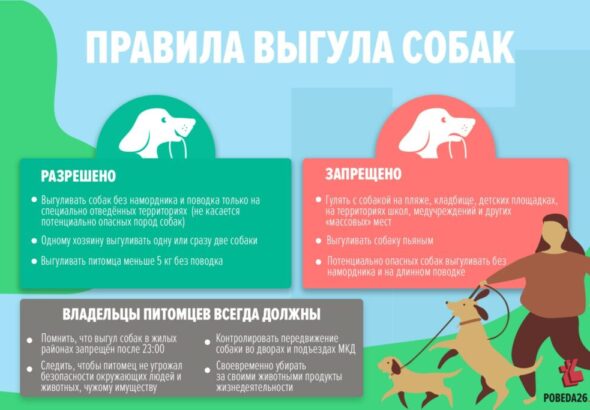 vigul-sobak-1024x683