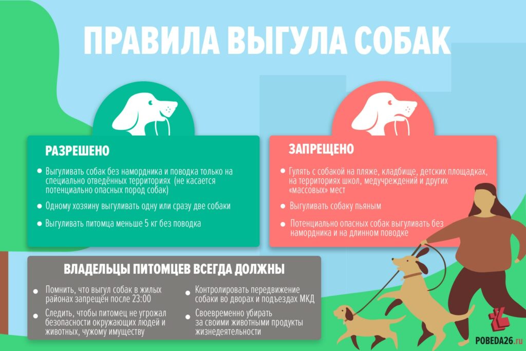 vigul-sobak-1024x683