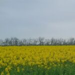 db85c573-cdd5-4f1c-b0b4-7622dab76fd7