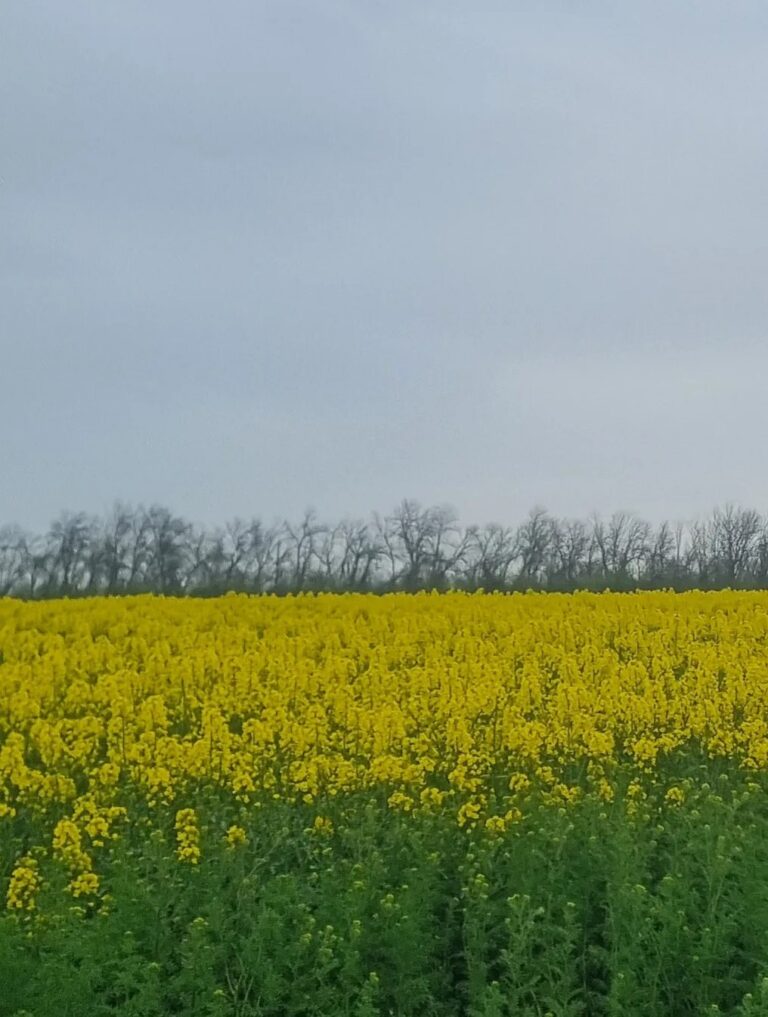 db85c573-cdd5-4f1c-b0b4-7622dab76fd7