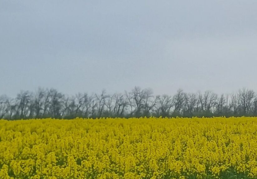 db85c573-cdd5-4f1c-b0b4-7622dab76fd7