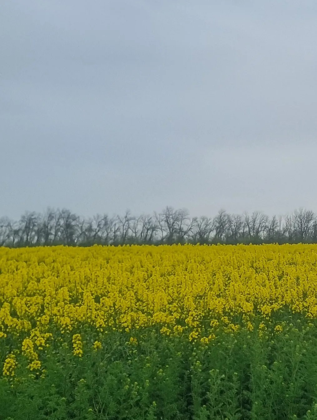 db85c573-cdd5-4f1c-b0b4-7622dab76fd7