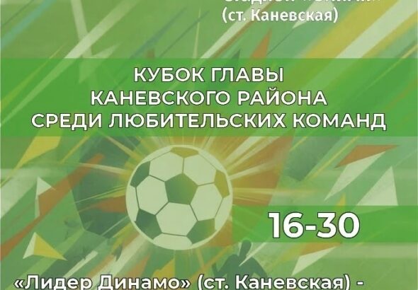 55950739-3847-4f53-a247-0d48d5a03b6e